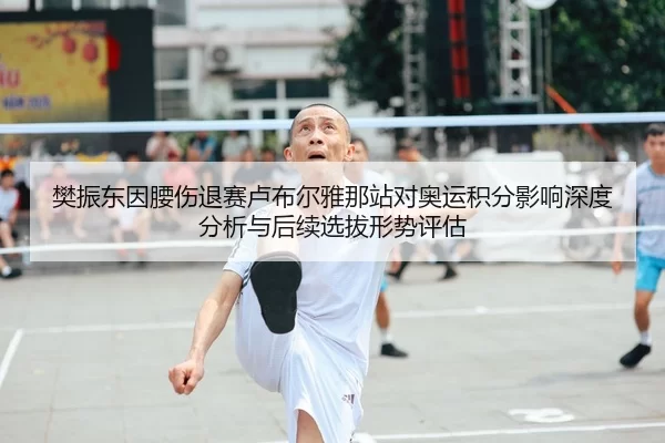 樊振东因腰伤退赛卢布尔雅那站对奥运积分影响深度分析与后续选拔形势评估